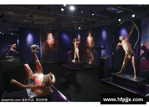 动物模拟体育明星精彩视频合集，搞笑又惊艳的运动模仿秀