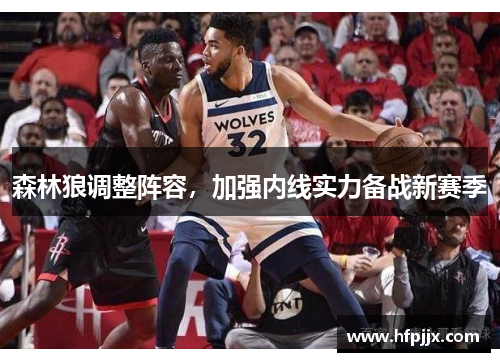 森林狼调整阵容，加强内线实力备战新赛季